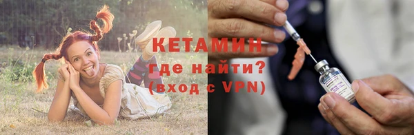 трава Аркадак