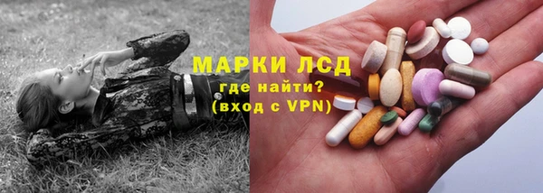 трава Аркадак