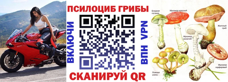 Псилоцибиновые грибы Magic Shrooms  Слюдянка 
